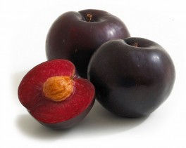 Слива красная Крымская